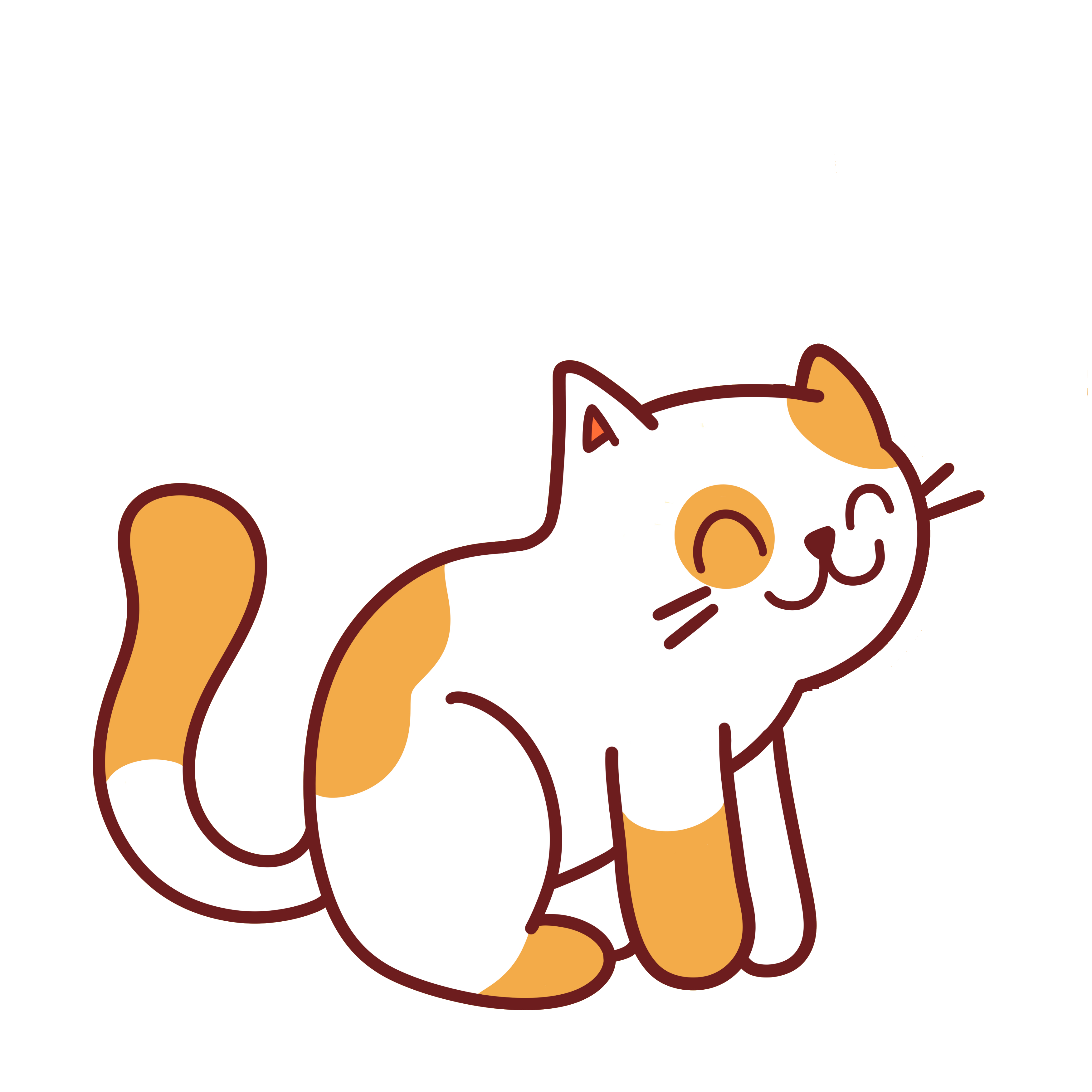 Tim